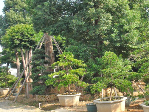 ��˲�Ʊ����