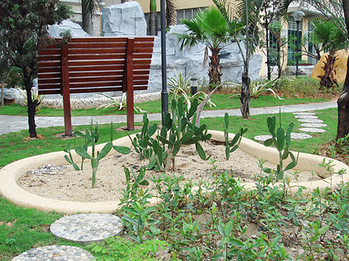 ����Сѧ������԰�ڵ�������