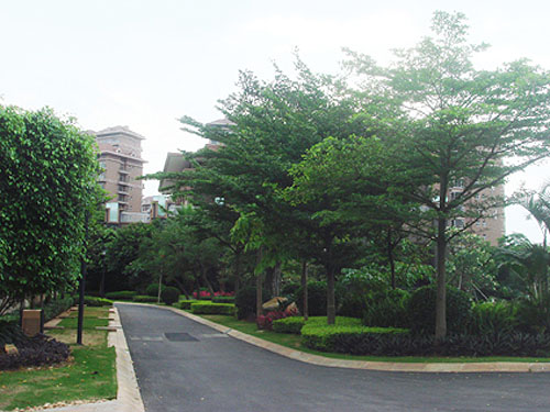 Ҽ��ׯ԰��԰���ڵ�����·��