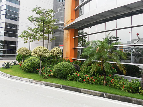 ��˲�Ʊ�̻�