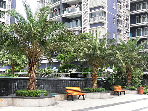 ���������㳡