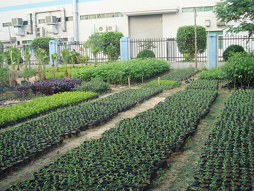 ݸ��������