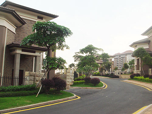 Ҽ��ׯ԰��԰���ڵĵ�·����