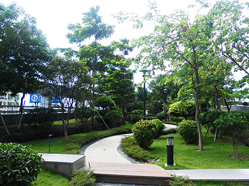 ���������㳡��������С·