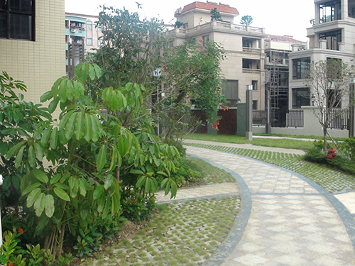 ��ɽ�������幫��