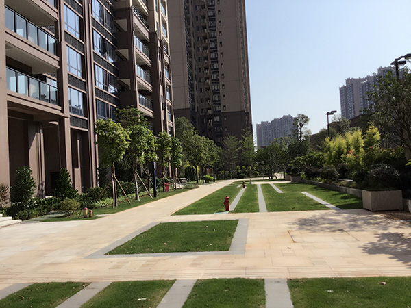 ��˲�Ʊ���۹���